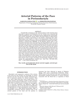 Arterial Patterns of the Face in Perissodactyla