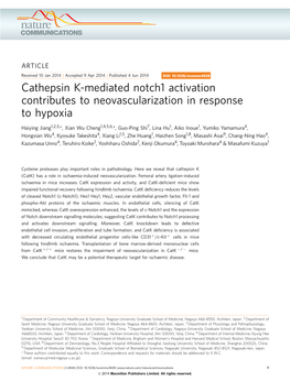 Cathepsin K-Mediated Notch1 Activation Contributes to Neovascularization in Response to Hypoxia