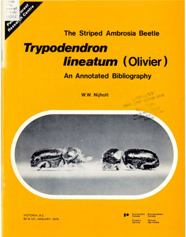 Endron Lineafum (Olivier) an Annotated Bibliography