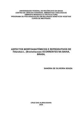 Bromeliaceae) OCORRENTES NA BAHIA, BRASIL