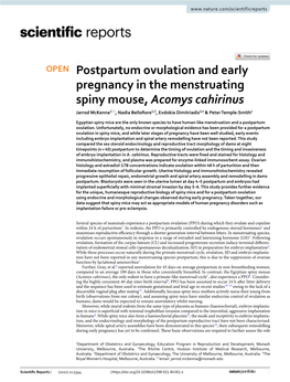 Postpartum Ovulation and Early Pregnancy in the Menstruating