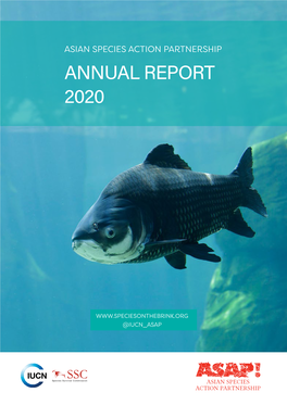 Annual Report 2020