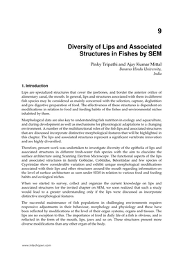 Diversity of Lips and Associated Structures in Fishes by SEM