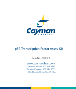 P53 Transcription Factor Assay Kit