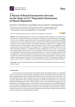 A Myosin II-Based Nanomachine Devised for the Study of Ca2+-Dependent Mechanisms of Muscle Regulation