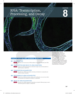 RNA: Transcription, Processing, and Decay 8