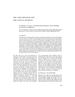 The Axon Hillock and the Initial Segment Have Been Difficult to Find in Sections Examined with the Electron Microscope