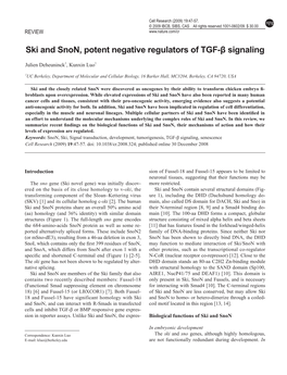 Ski and Snon, Potent Negative Regulators of TGF-Β Signaling