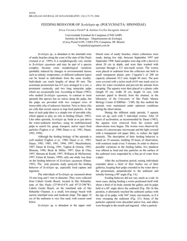 FEEDING BEHAVIOR of Scolelepis Sp