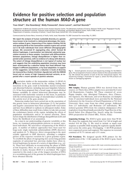 Evidence for Positive Selection and Population Structure at the Human MAO-A Gene