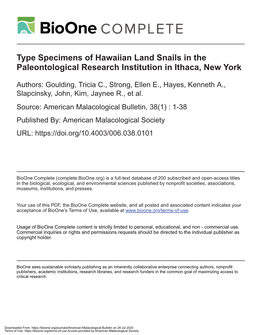 Type Specimens of Hawaiian Land Snails in the Paleontological Research Institution in Ithaca, New York