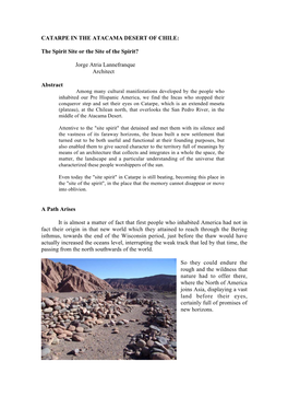 Catarpe in the Atacama Desert of Chile