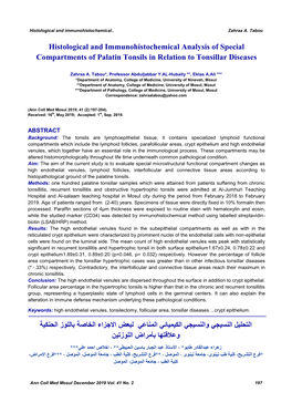 Histological and Immunohistochemical Analysis of Special Compartments of Palatin Tonsils in Relation to Tonsillar Diseases