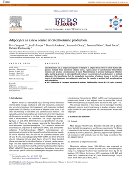 Adipocytes As a New Source of Catecholamine Production