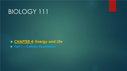 Cellular Respiration Energy and Life Learning Outcomes 4.1 Describe How Energy Flows Through an Ecosystem, Including Conversions from One Form of Energy to Another