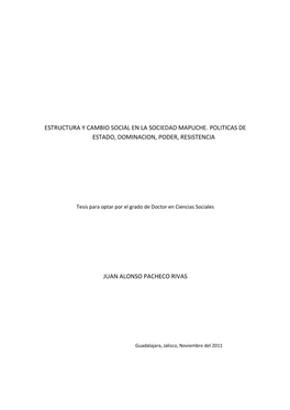 Estructura Y Cambio Social En La Sociedad Mapuche. Politicas De Estado, Dominacion, Poder, Resistencia