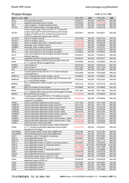 Protein Kinase