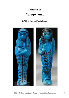 The Shabtis of Nesy-Per-Nub