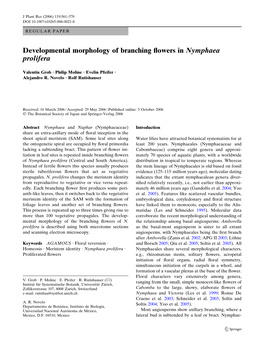 Developmental Morphology of Branching Flowers in Nymphaea