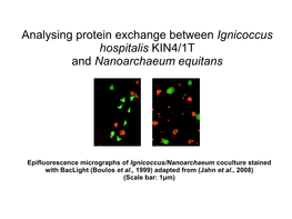 2011 Ignicoccus Grant Proposal