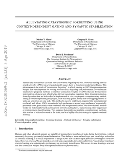 Alleviating Catastrophic Forgetting Using Context-Dependent Gating and Synaptic Stabilization