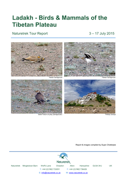 Ladakh - Birds & Mammals of the Tibetan Plateau