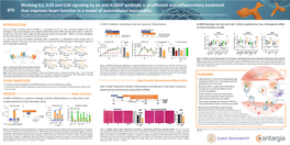 Blocking IL1, IL33 and IL36 Signaling by an Anti-IL1RAP