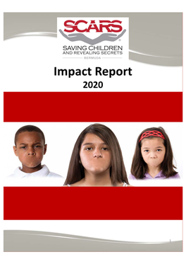 Annual Impact Report 2020