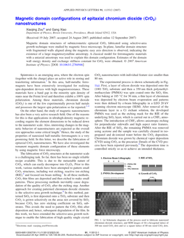 Magnetic Domain Configurations of Epitaxial Chromium Dioxide „Cro2… Nanostructures