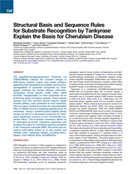 Structural Basis and Sequence Rules for Substrate Recognition by Tankyrase Explain the Basis for Cherubism Disease