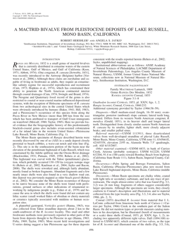 A Mactrid Bivalve from Pleistocene Deposits of Lake Russell, Mono Basin, California