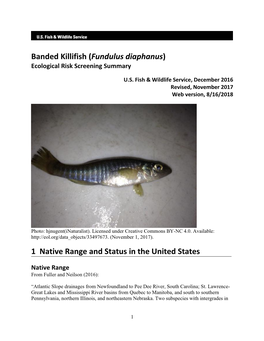 Fundulus Diaphanus) Ecological Risk Screening Summary