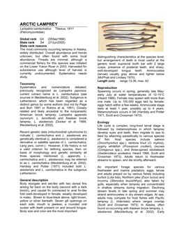 ARCTIC LAMPREY Lampetra Camtschatica Tilesius, 1811 (Petromyzontidae)