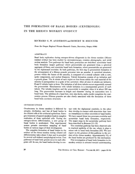 The Formation of Basal Bodies (Centrioles)