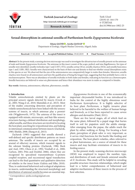 Sexual Dimorphism in Antennal Sensilla of Parthenium Beetle Zygogramma Bicolorata