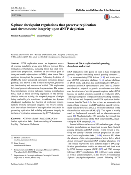 S-Phase Checkpoint Regulations That Preserve Replication and Chromosome Integrity Upon Dntp Depletion