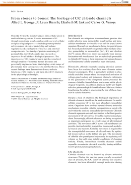 The Biology of Clc Chloride Channels Alfred L