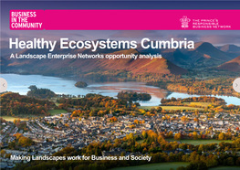 Healthy Ecosystems Cumbria a Landscape Enterprise Networks Opportunity Analysis