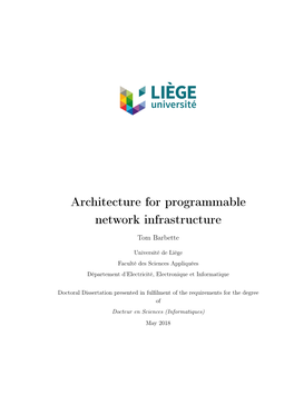 Architecture for Programmable Network Infrastructure