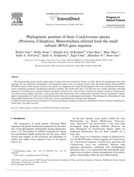 Phylogenetic Position of Three Condylostoma Species (Protozoa, Ciliophora, Heterotrichea) Inferred from the Small Subunit Rrna Gene Sequence