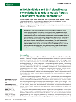 Mtor Inhibition and BMP Signaling Act Synergistically to Reduce Muscle Fibrosis and Improve Myofiber Regeneration