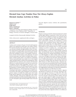 Elevated Gene Copy Number Does Not Always Explain Elevated Amylase Activities in Fishes