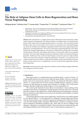 The Role of Adipose Stem Cells in Bone Regeneration and Bone Tissue Engineering