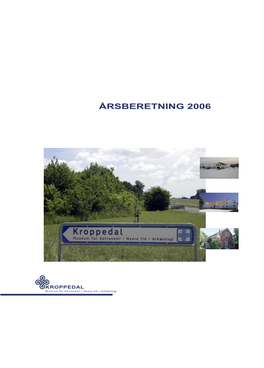 Årsberetning 2006