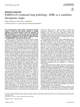 SARS-Cov-2-Induced Lung Pathology: AHR As a Candidate Therapeutic Target