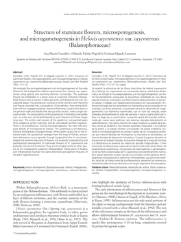 Structure of Staminate Flowers, Microsporogenesis, and Microgametogenesis in Helosis Cayennensis Var