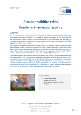 Amazon Wildfire Crisis: Need for an International Response