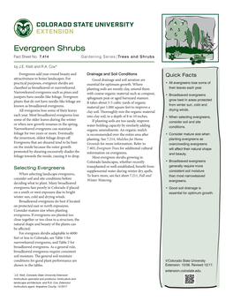 Evergreen Shrubs Fact Sheet No