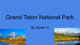 Grand Teton National Park