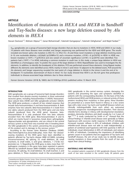 A New Large Deletion Caused by Alu Elements in HEXA